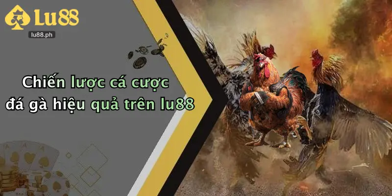 Chiến lược cá cược đá gà hiệu quả trên lu88