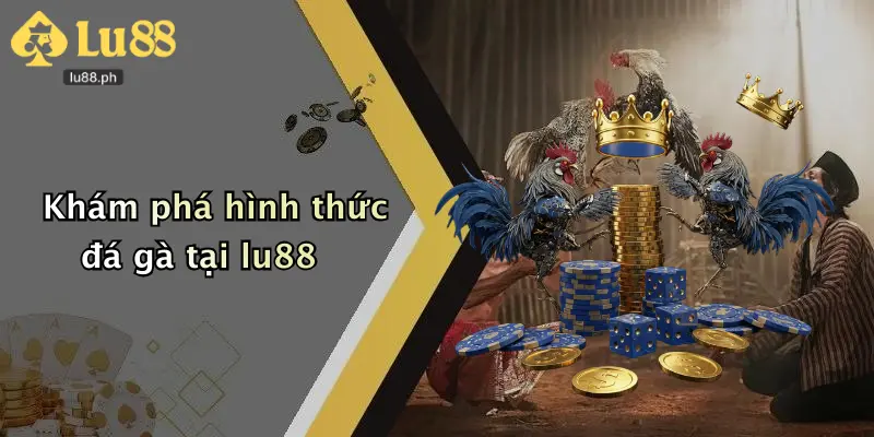 Khám phá hình thức đá gà tại lu88